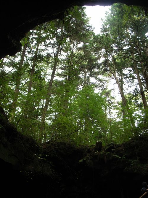 R0015515_R.jpg