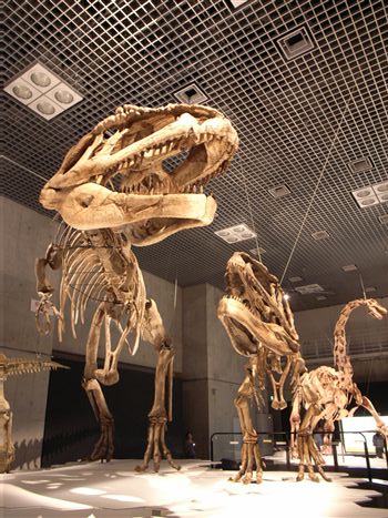 R0014818_R.jpg